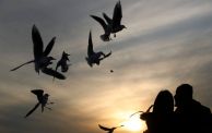 People toss food for seagulls to catch as they stand over the Jadriya Bridge on the Tigris River in Baghdad, at sunset on January 17, 2024. (Photo by AHMAD AL-RUBAYE / AFP) (Photo by AHMAD AL-RUBAYE/AFP via Getty Images)