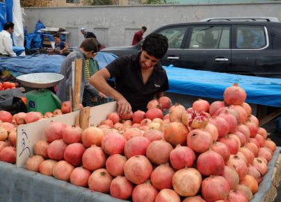 Fruit sellers in Iraq