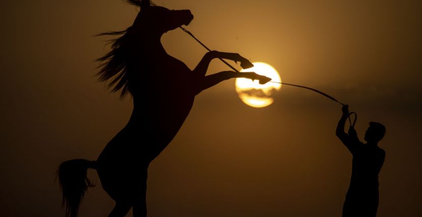 ERBIL, IRAQ - AUGUST 30: Silhouette of a man with his horse during sunset in Erbil, Iraq on August 30, 2023. (Photo by Ahsan Mohammed Ahmed Ahmed/Anadolu Agency via Getty Images)