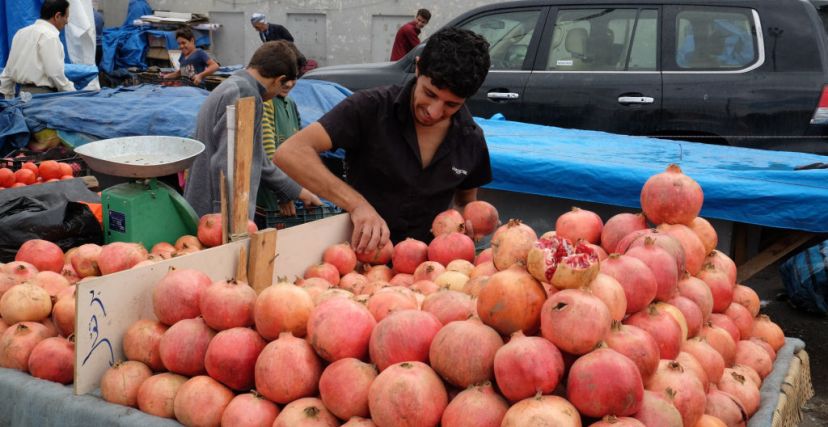 Fruit sellers in Iraq
